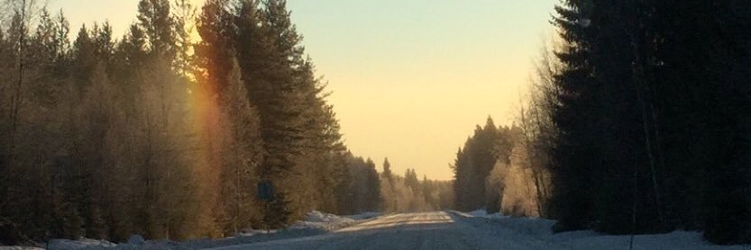 sofieedlund's profile banner image