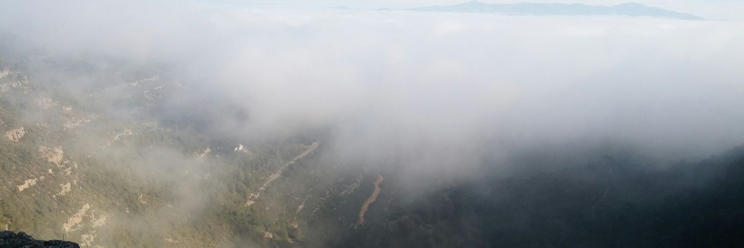 Alcazso's profile banner image