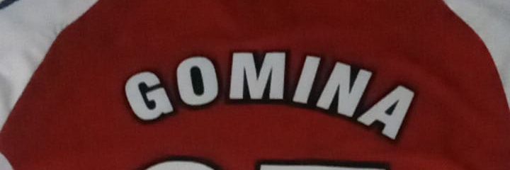 Gomina87's profile banner image