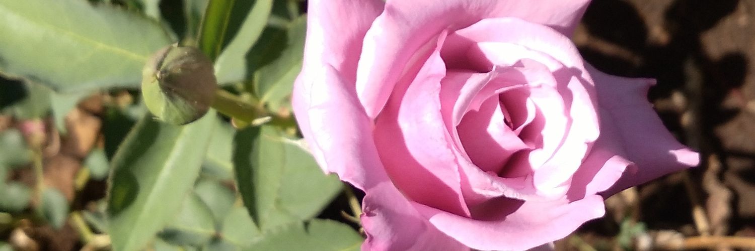lui67gar's profile banner image