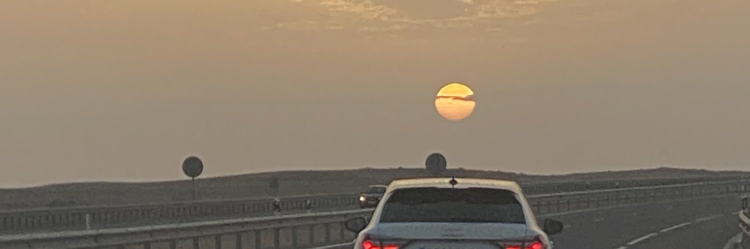 luenguina's profile banner image