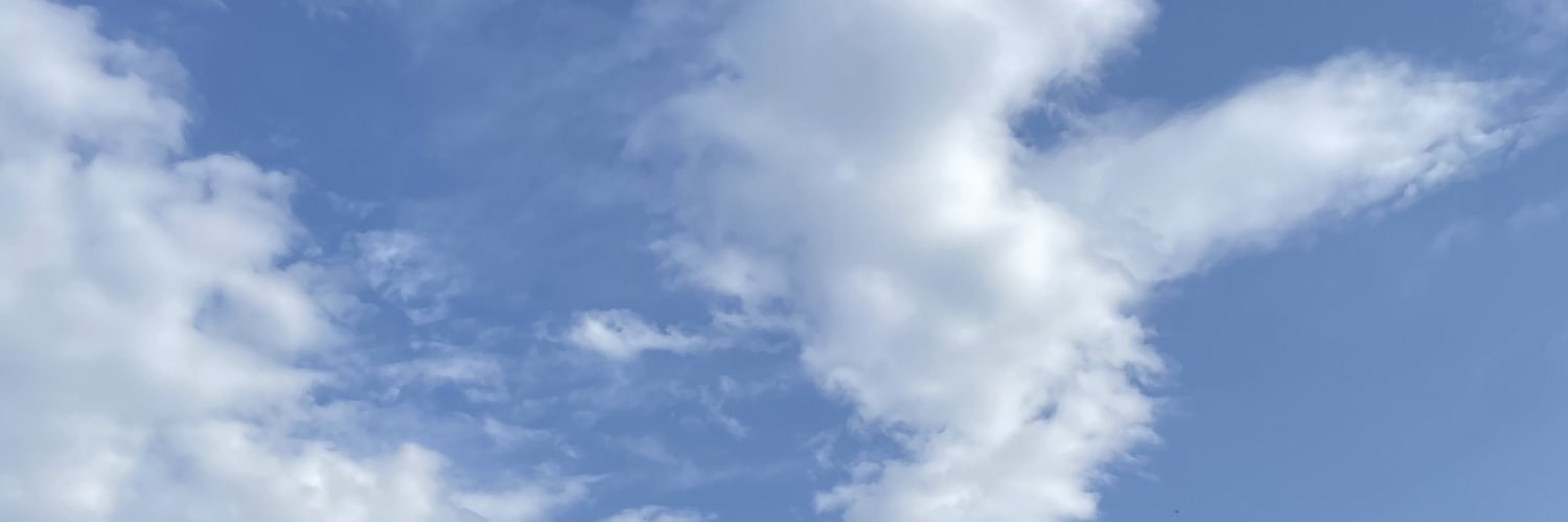 tatsu_issy's profile banner image