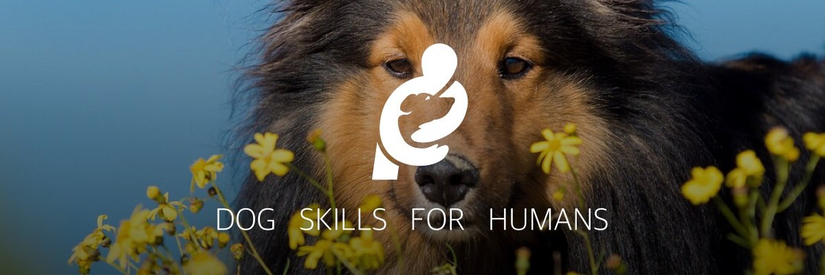 CaninePrinciple's profile banner image