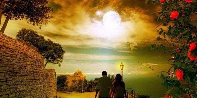 Mariajosedepaso's profile banner image