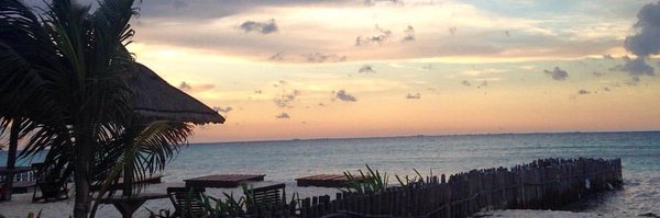 asiaselevated Profile Banner