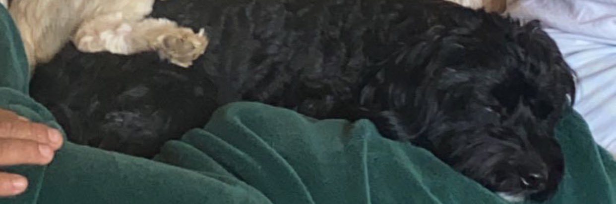 keysivero's profile banner image
