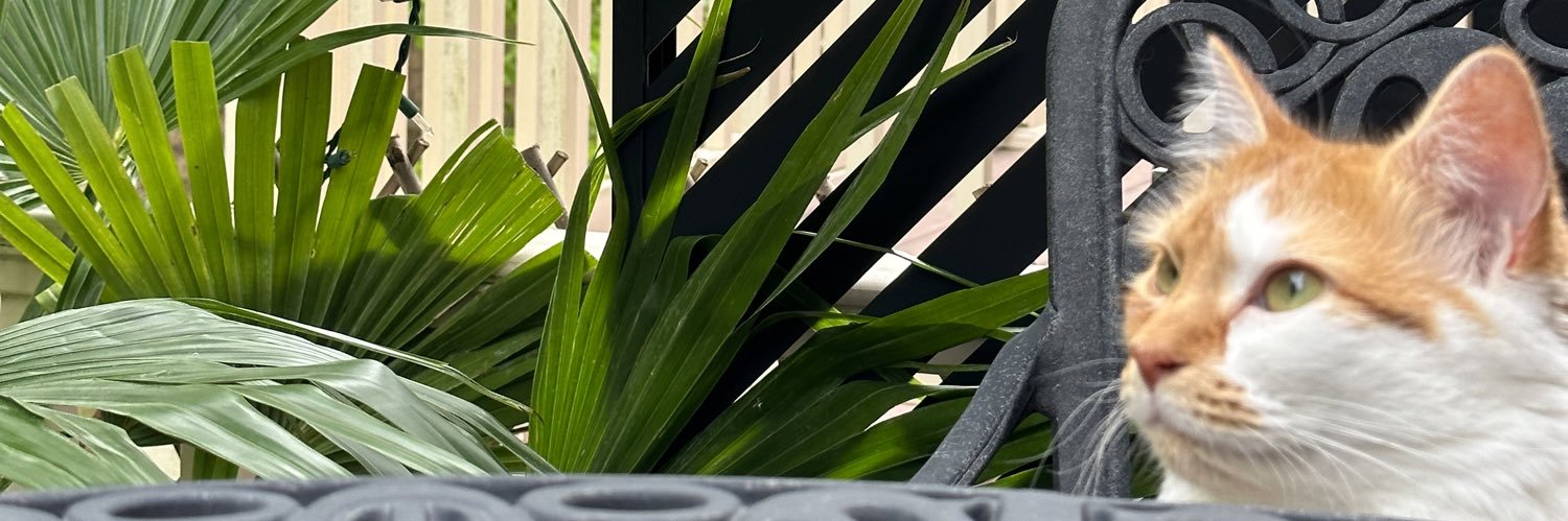 nikozab's profile banner image