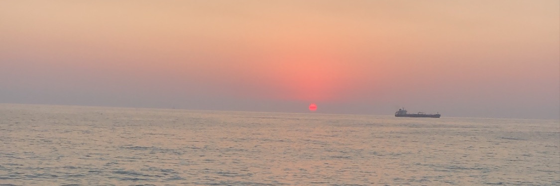 elissa_ibrahim's profile banner image