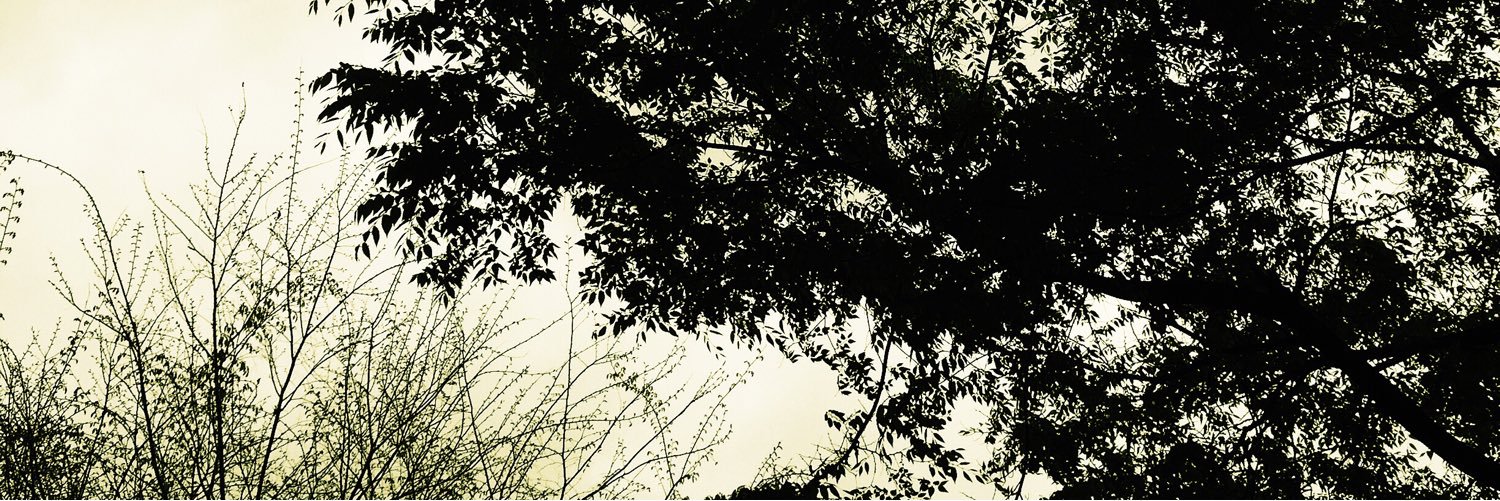 presso_'s profile banner image