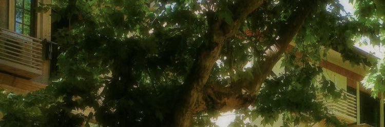 julialeaI's profile banner image