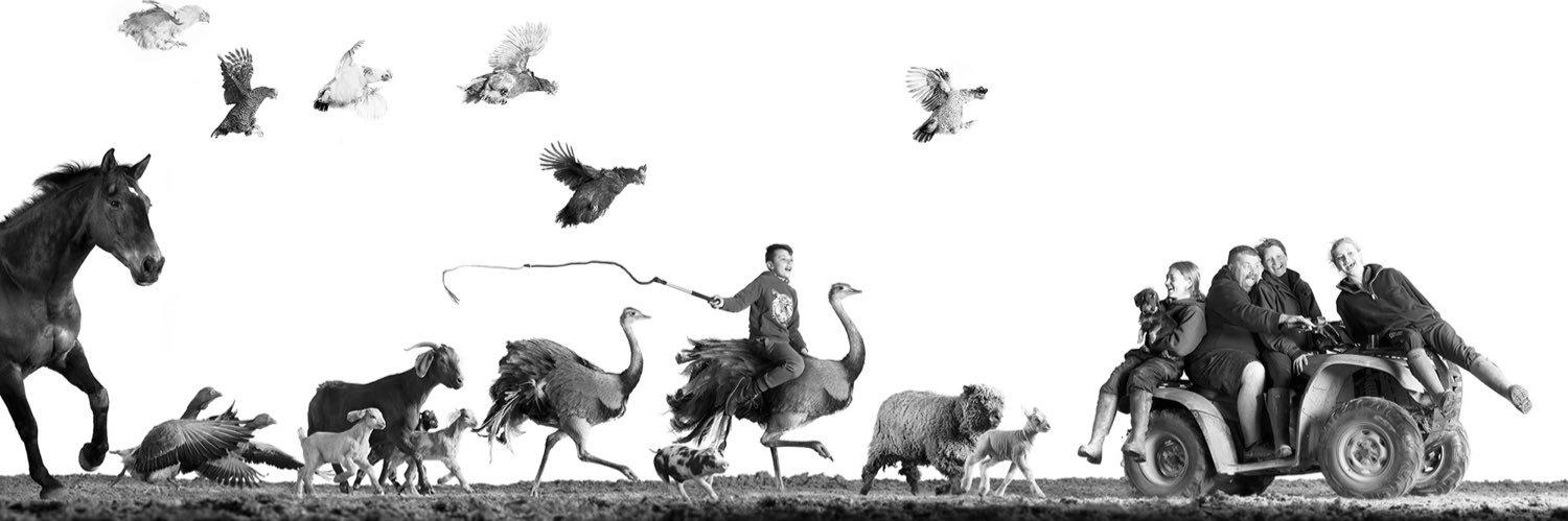 Ben Taylor-Davies banner