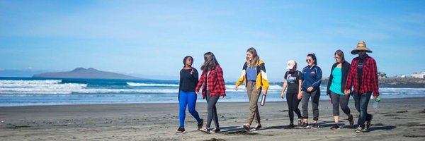 LiveDiff Profile Banner