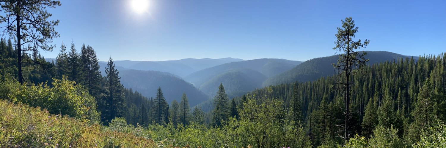 brittanyteve's profile banner image