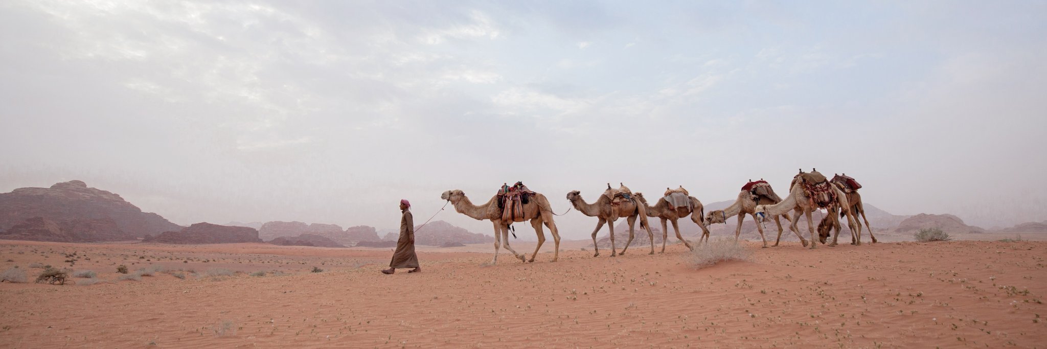 WhatTookYouSoLong banner