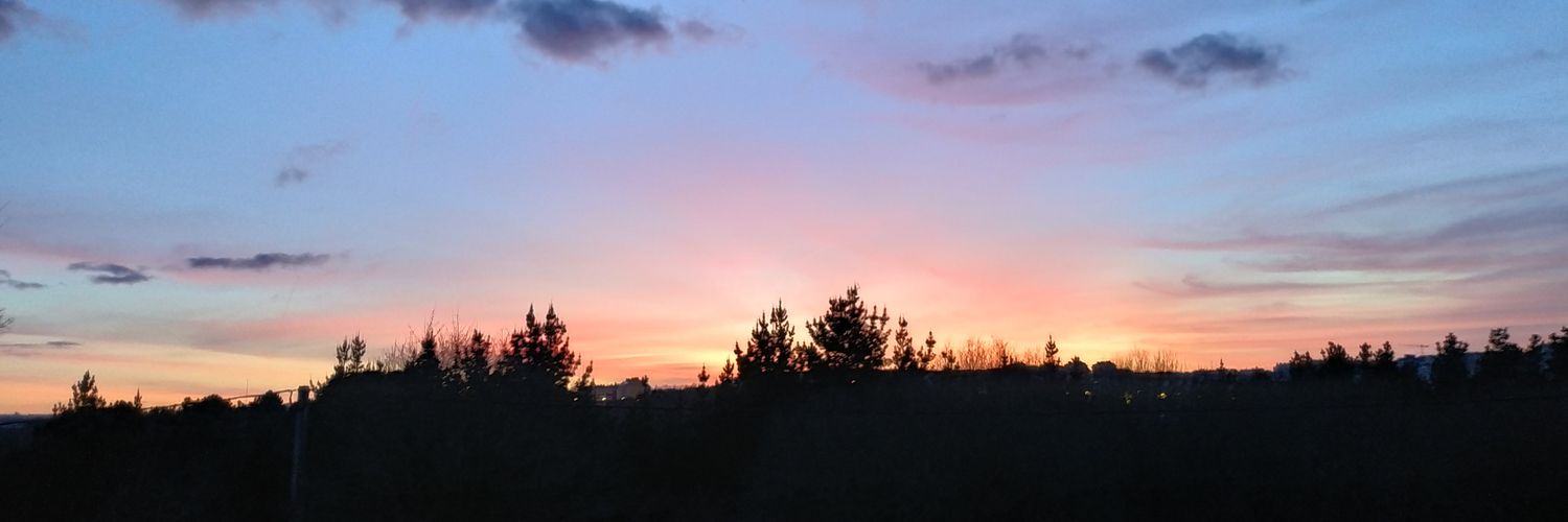 CarlaPardeiro's profile banner image