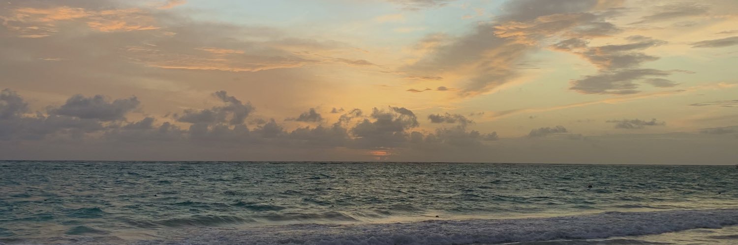 monicavfuster's profile banner image