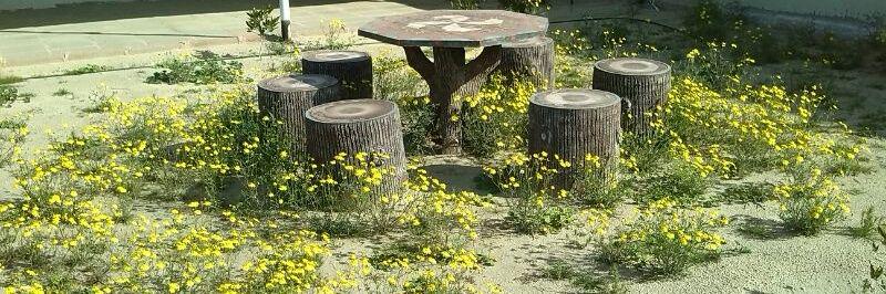 Yousef as7yeb banner