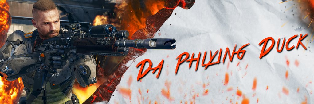 DaPhlying's profile banner image