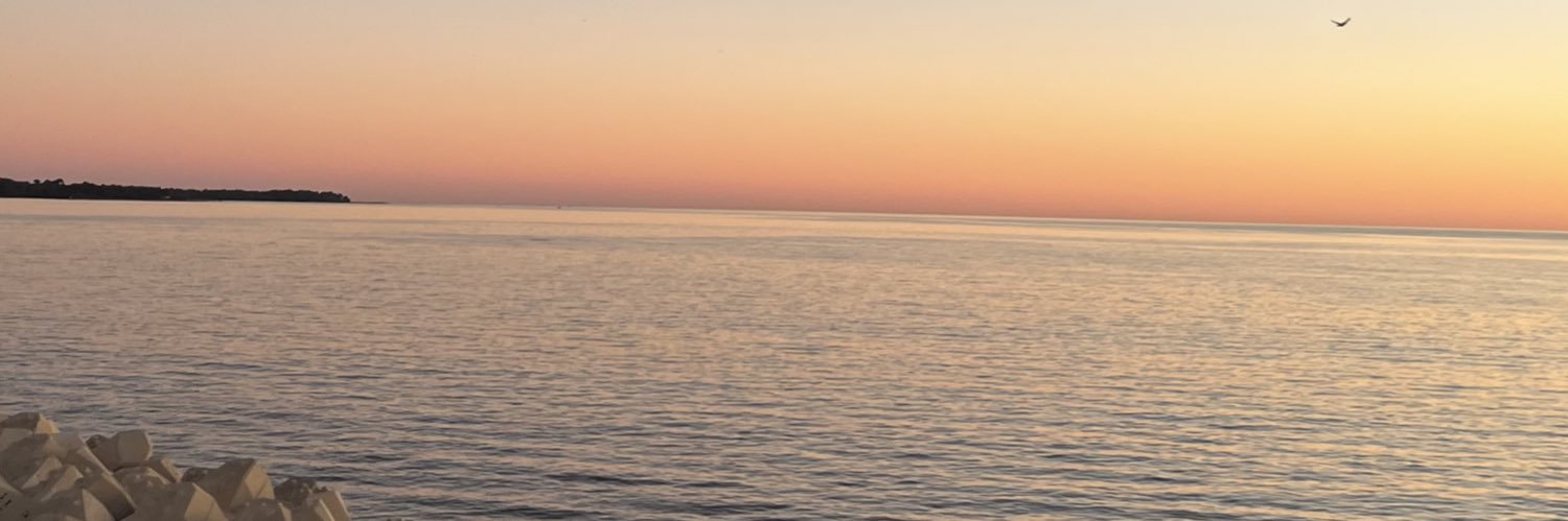 _LenaDMN's profile banner image