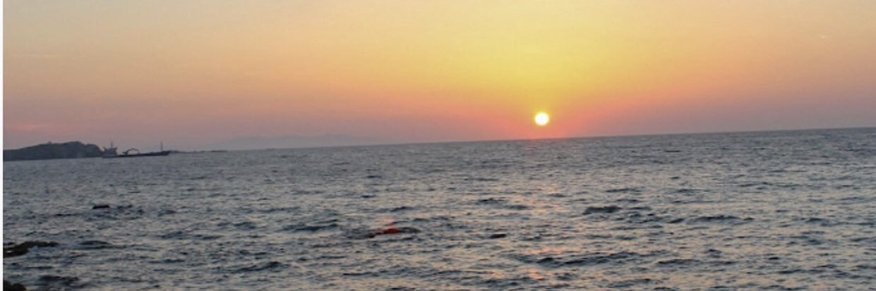 Eleegarrido's profile banner image