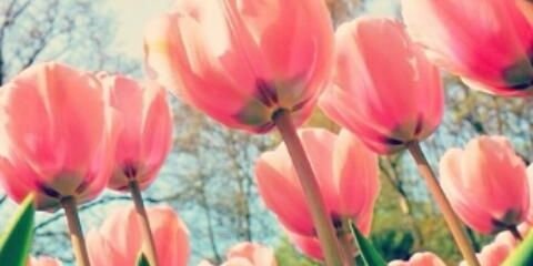 AnaBarrio_'s profile banner image