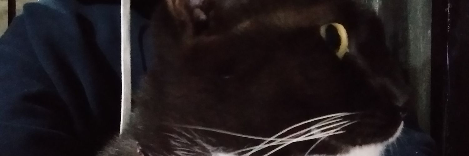 aaikzir's profile banner image