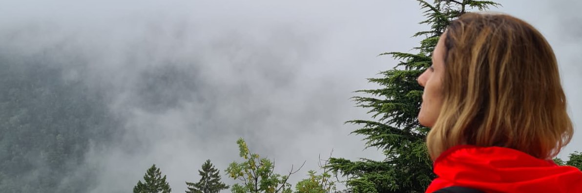 Concetta Maddaluno banner
