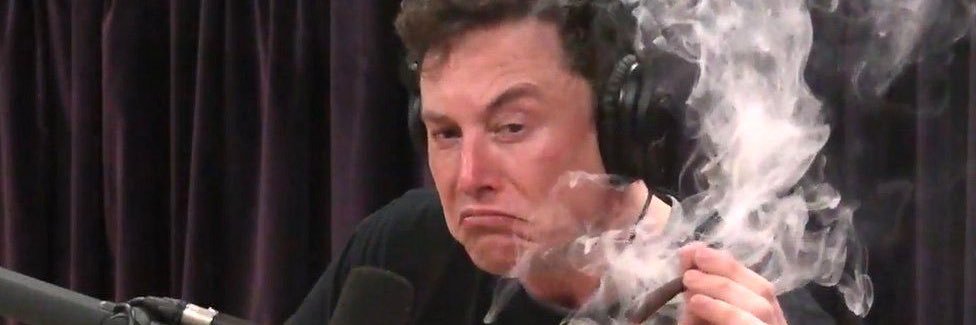 WHO TF PUT THE CAT IN THE BAG?! banner