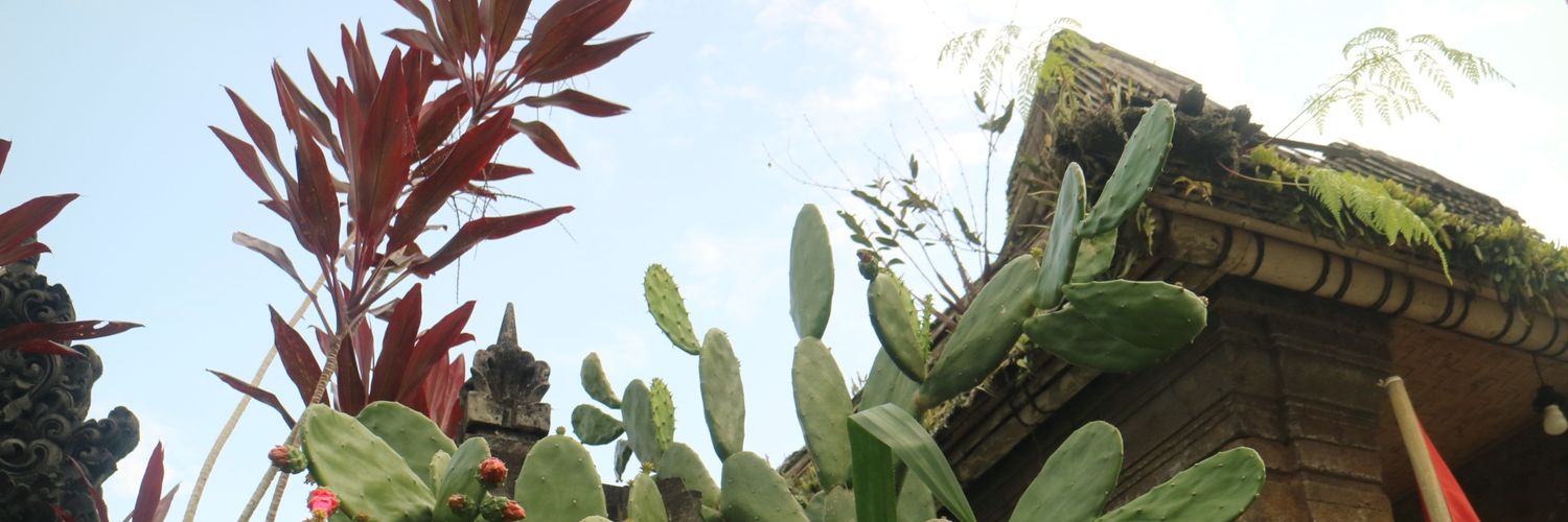 izzatyar's profile banner image