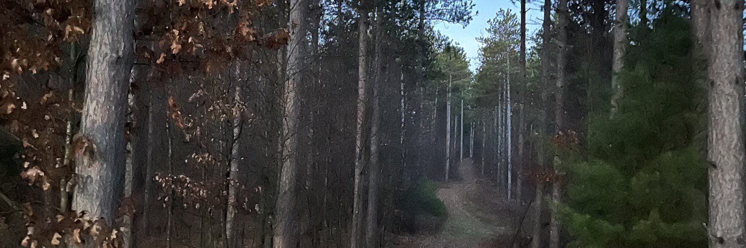 Jefflong64's profile banner image