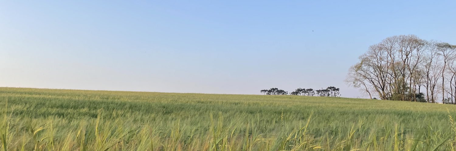 Mariiiooooooweeeeee banner