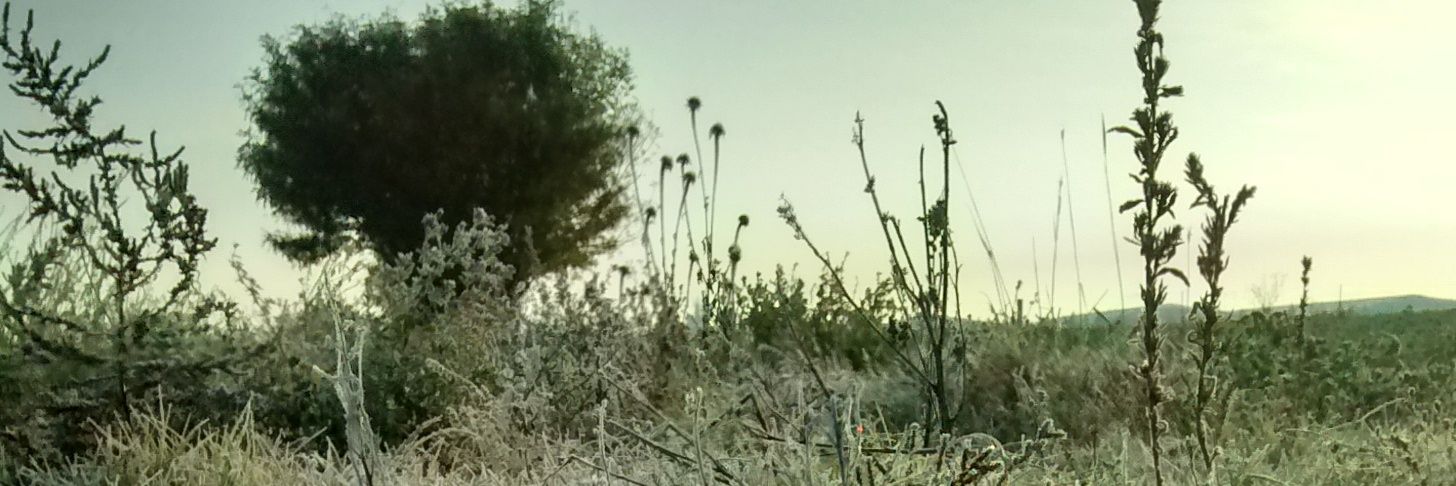 UrielRamrez7's profile banner image