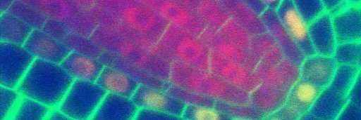 cara_m_winter's profile banner image
