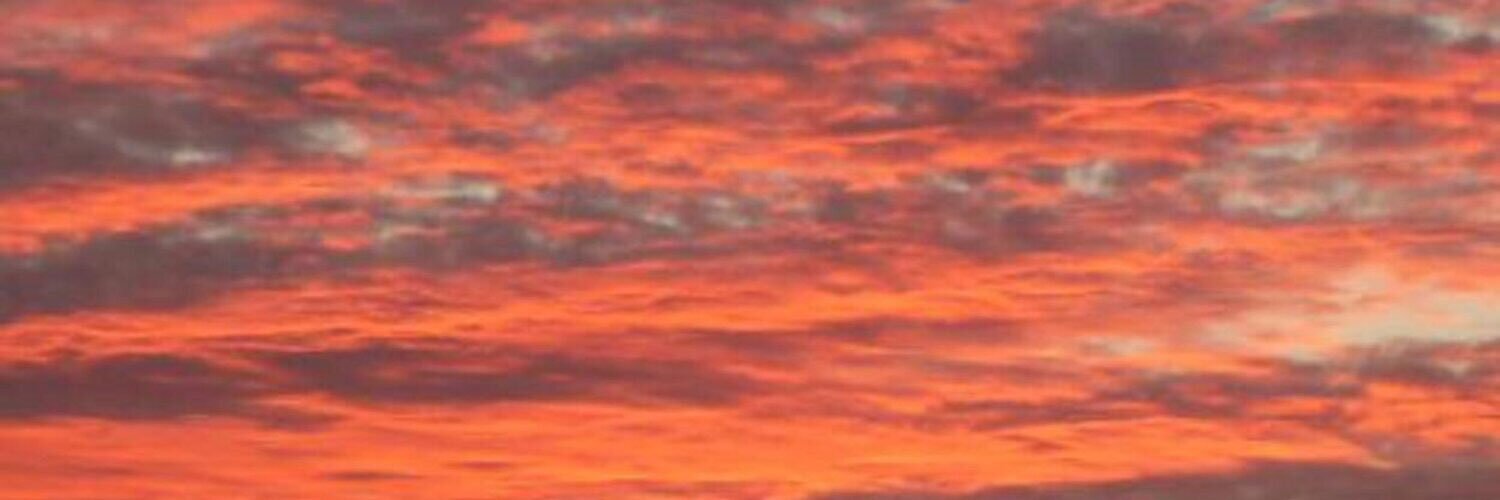 annelee45's profile banner image
