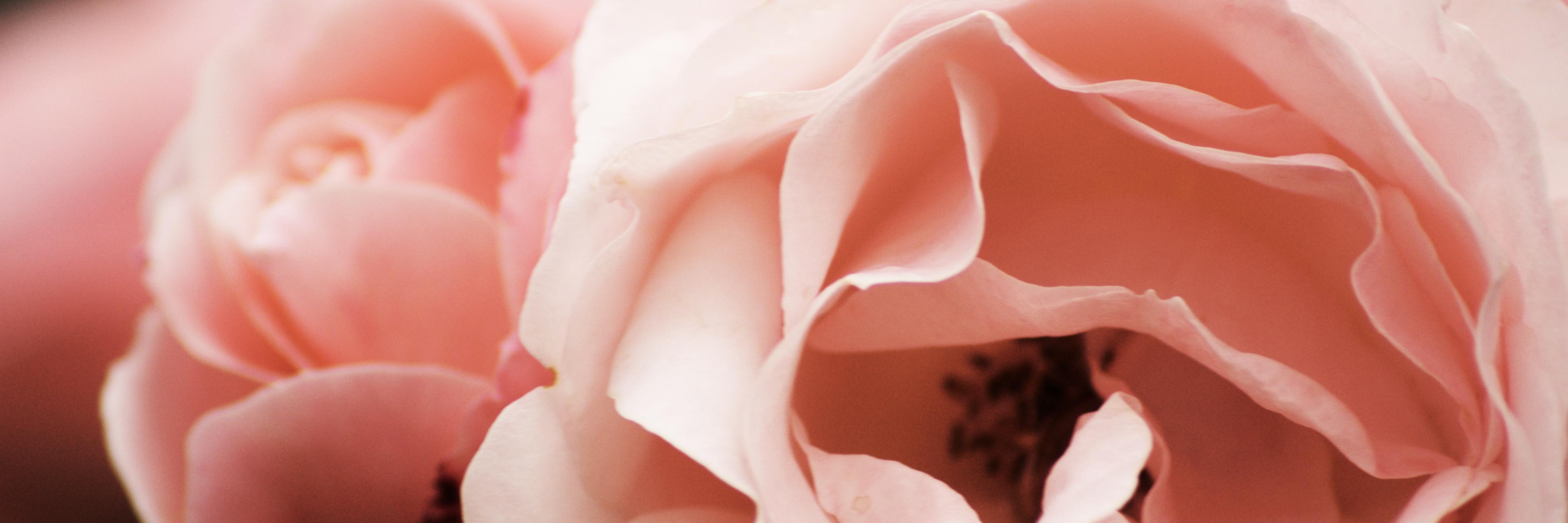 Pline_m's profile banner image