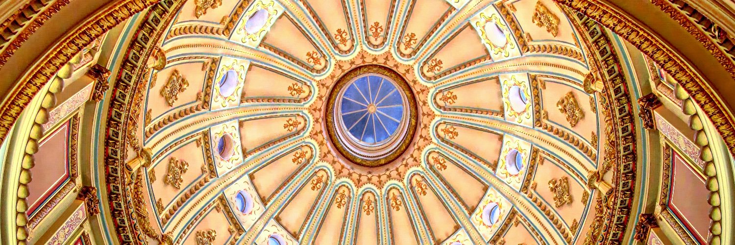 Amber Mace, PhD banner