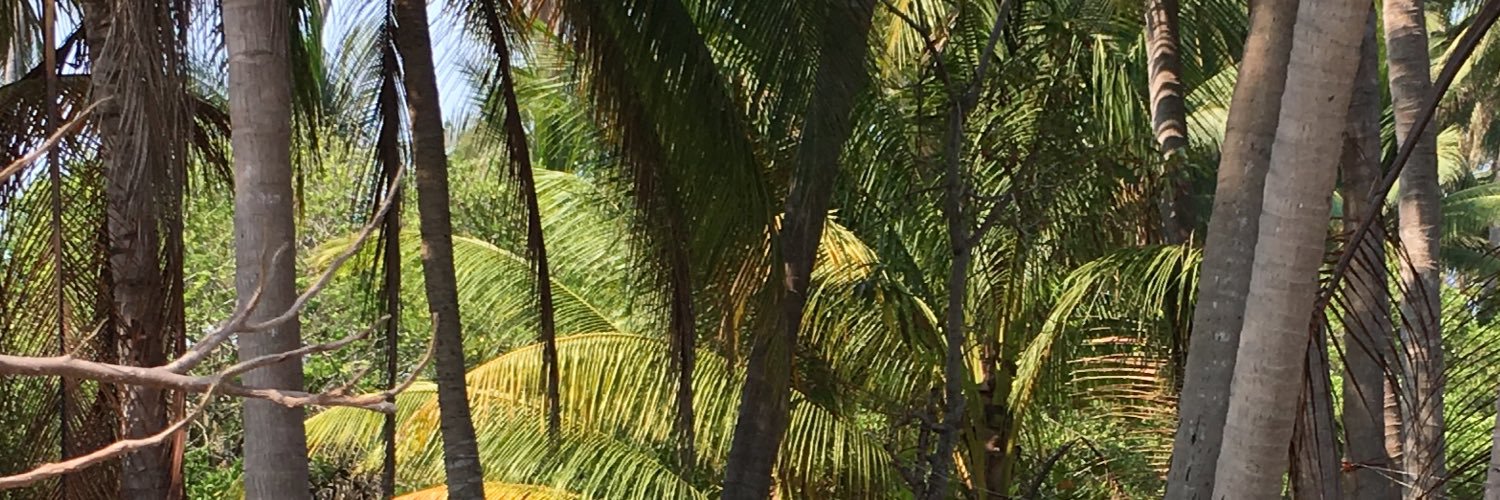 MAAR81's profile banner image