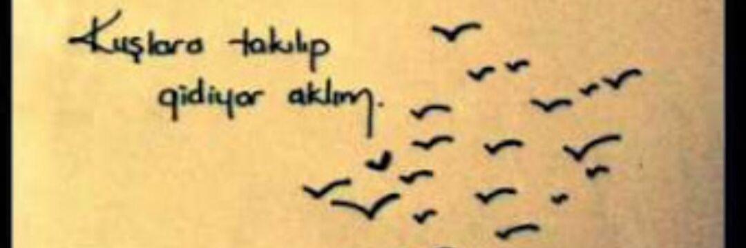 erhanerdems's profile banner image