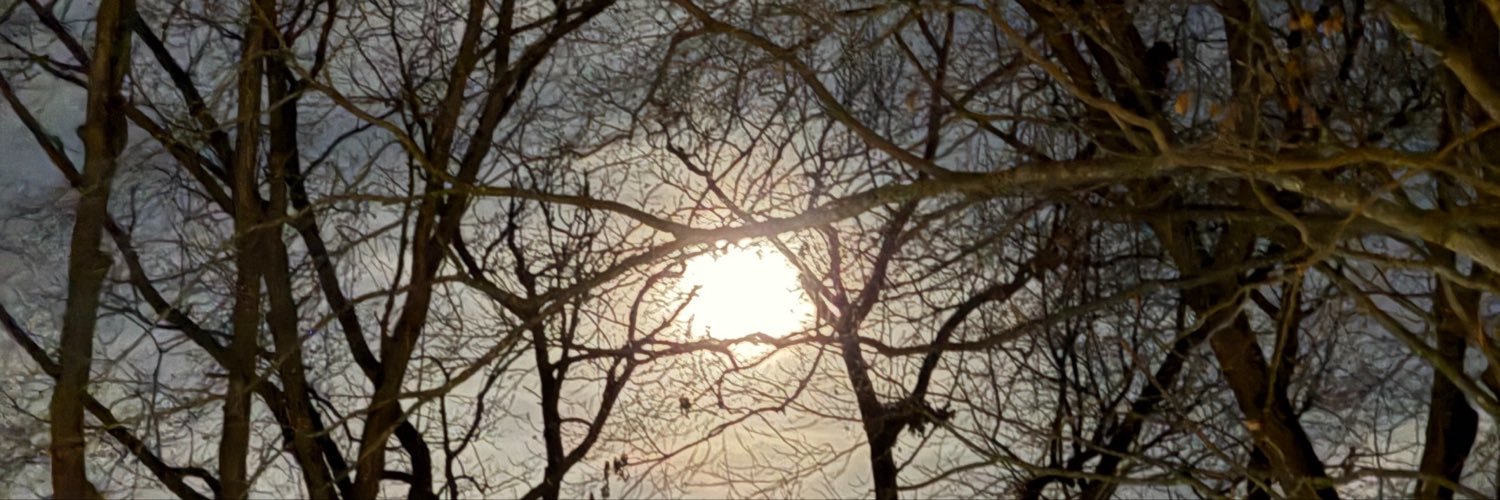 spiraledsavior's profile banner image