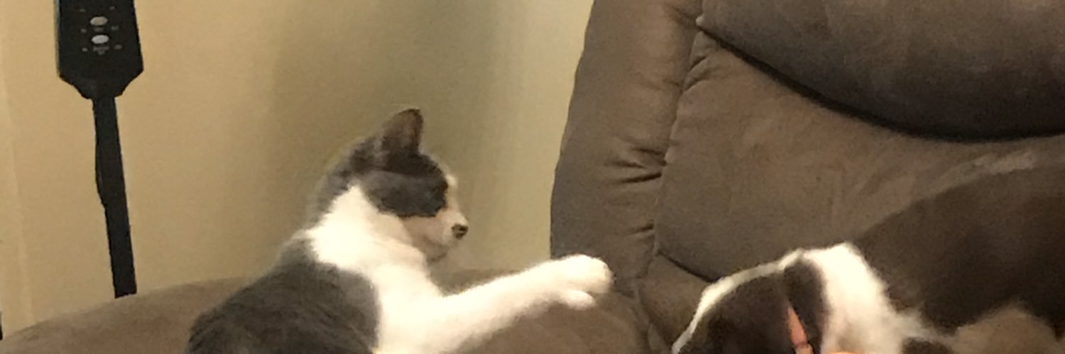 rollgeib's profile banner image