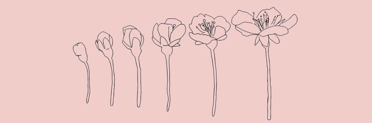giuliaprandina's profile banner image