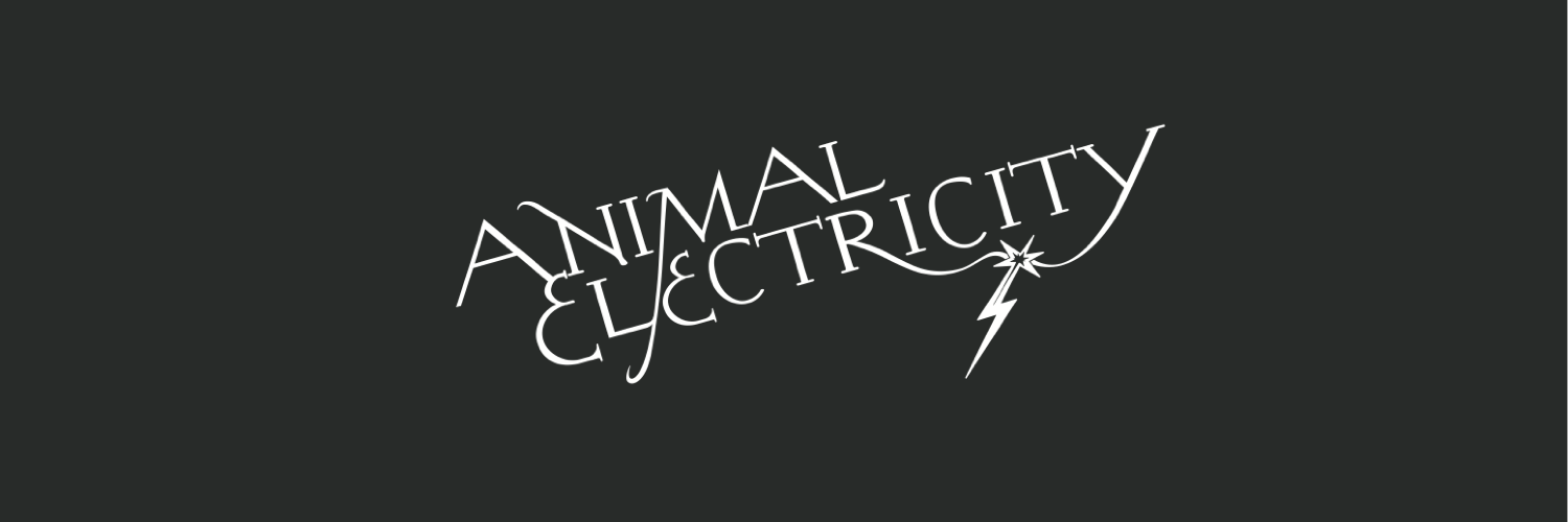 AnimalElectric's profile banner image