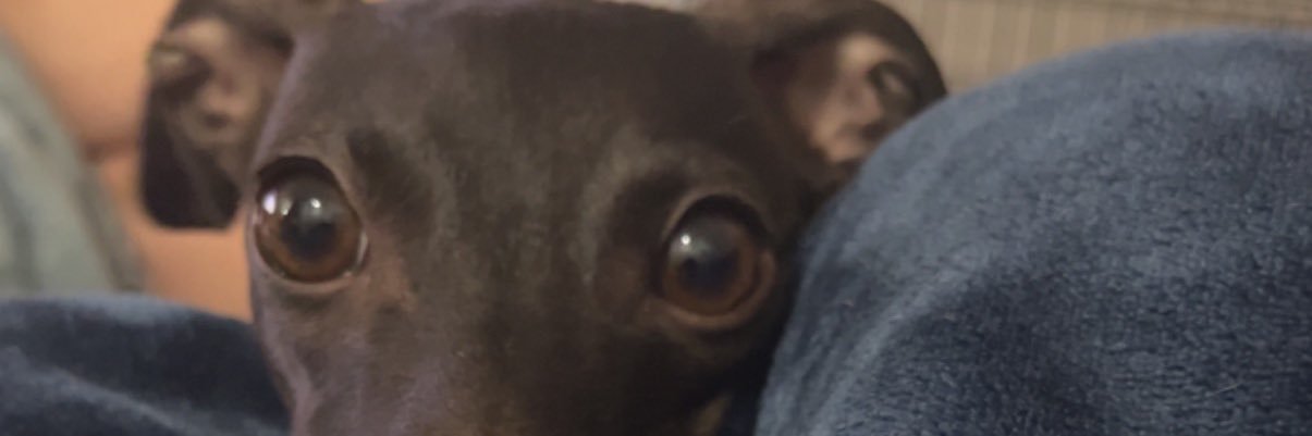 ItzLeezy's profile banner image