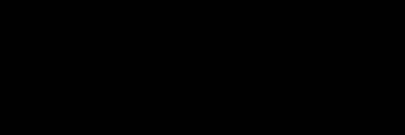 fatnasybra's profile banner image