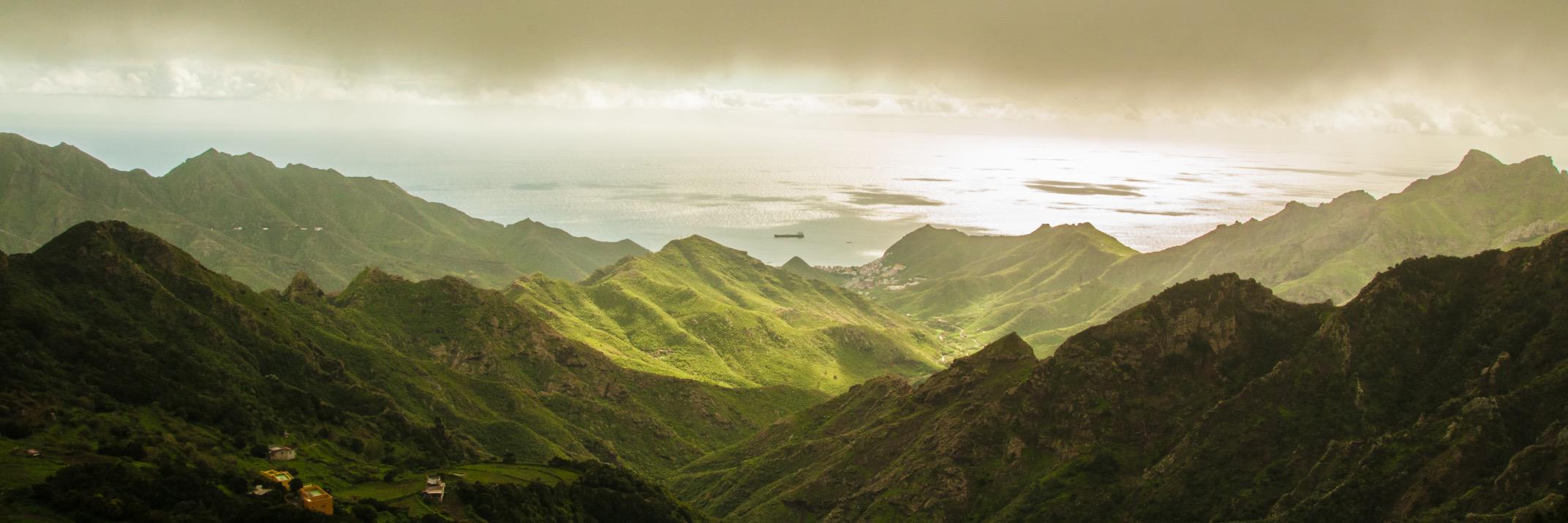 Peter Sorowka banner