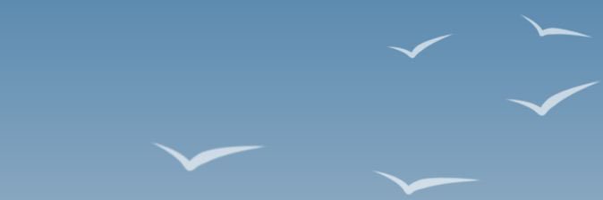 denizetanch's profile banner image