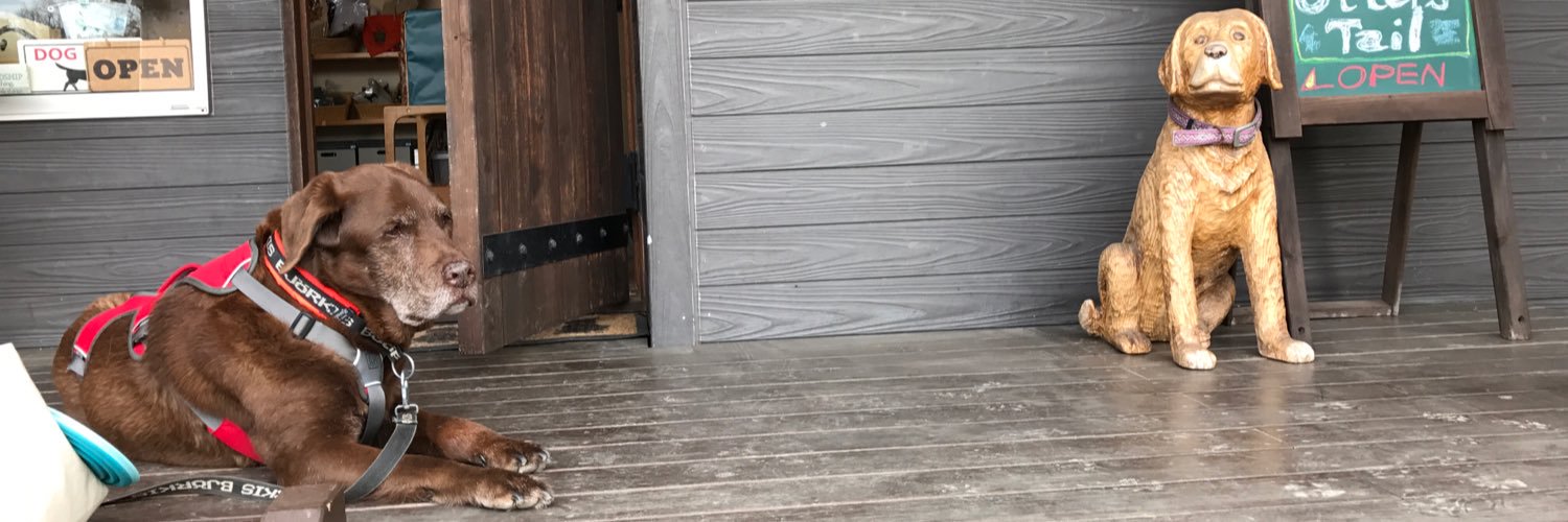 QtieTo2's profile banner image
