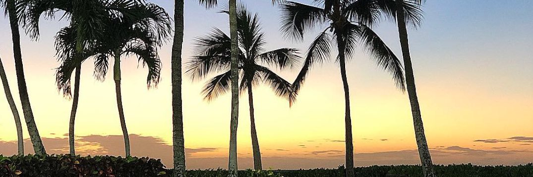 MadisonHoelting's profile banner image