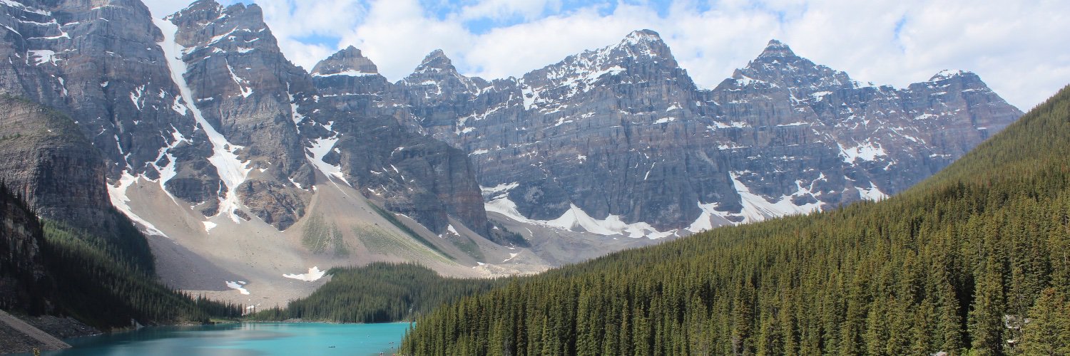 張無忌🇨🇦 banner