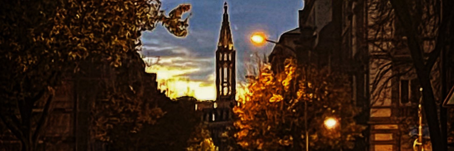Thierry Roos banner